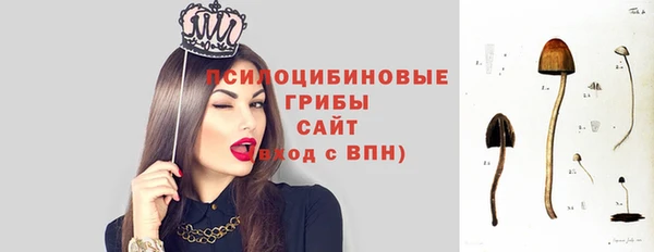 метамфетамин Каменка